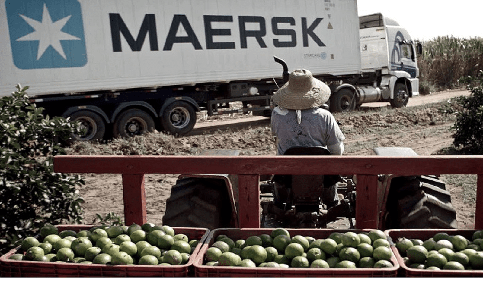 España exportación frutas hortalizas|España exportación frutas hortalizas|ShowImage